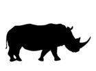 animal freedom