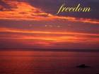 freedom