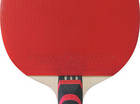 Planet Pong