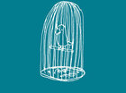 Cat free Bird