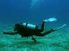 Scuba divin'