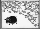 discriminatie 3
