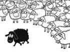 Discriminatie