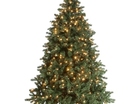 eos kerstboom